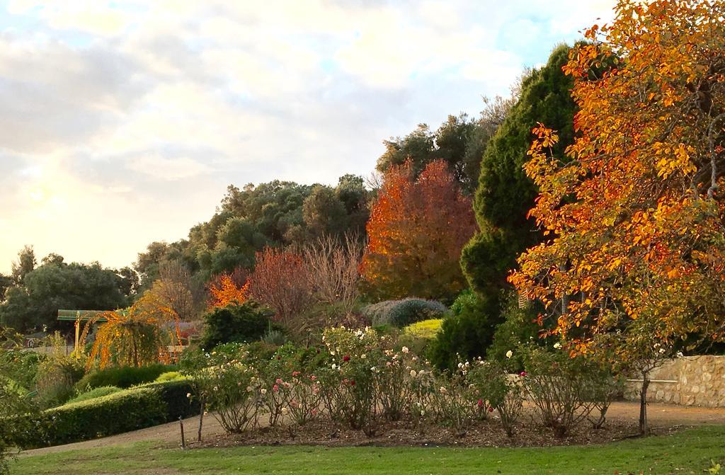 The Garden Cottage At The Olives Yankalilla Kültér fotó